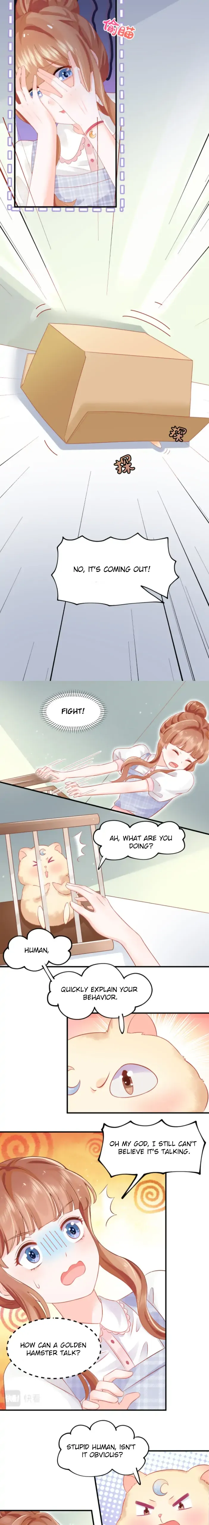 Golden Hamster’s Love Collection chapter 1 - Page 7