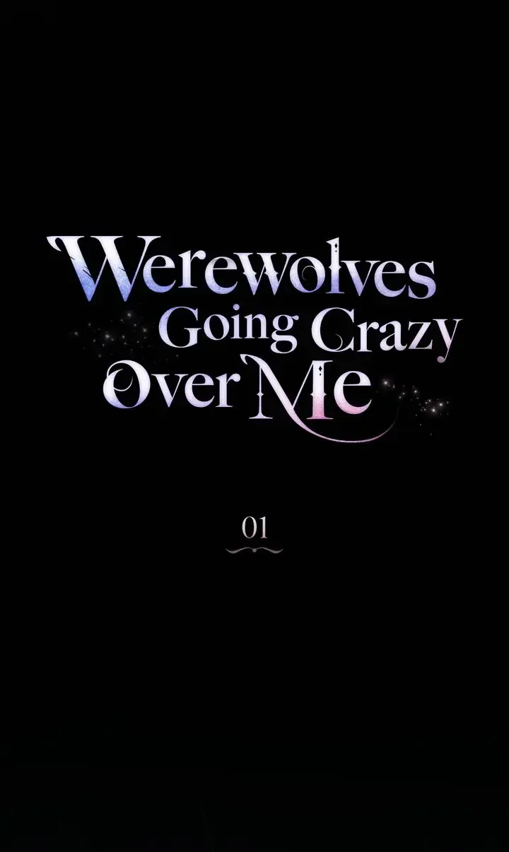 Werewolves Going Crazy over Me Chapter 1 - Page 15
