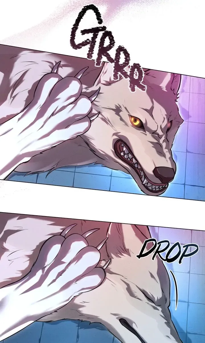 Werewolves Going Crazy over Me Chapter 14 - Page 19